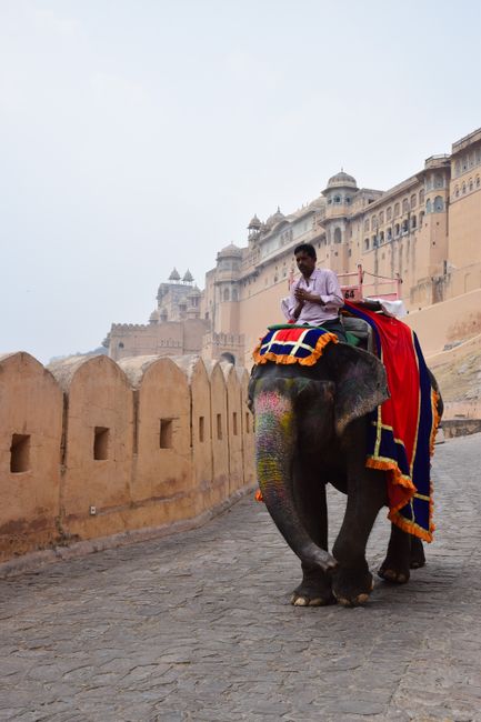 A man riding an elaborately decorated elephant along a cobblestone street with a sandstone wall and historic palace buildings in the background during daylight. The elephant is adorned with colorful fabric and ornate coverings, and the man sits on its back holding a painted staff. The scene suggests a traditional or touristic setting, with the elephant possibly part of a cultural display or transport. The environment appears warm and sunny, with clear skies, and the architecture indicates a historic location. This image illustrates elements of cultural heritage and traditional transport methods that might be encountered during a home relocation or travel in regions where elephants are used for ceremonial or tourism purposes.